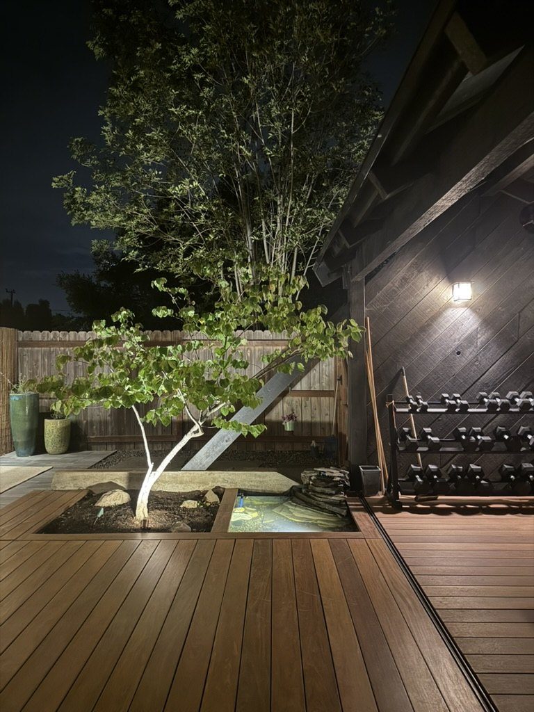Night view of dojo with uplighting on redbud tree, lantern lights, and warm Cumaru deck